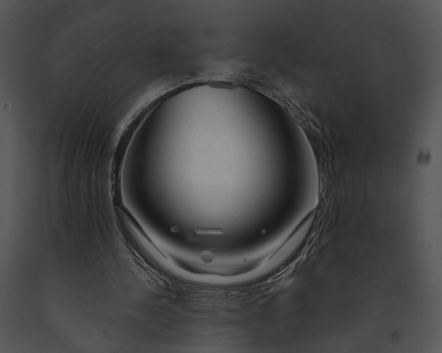 X0000091190244200708301243