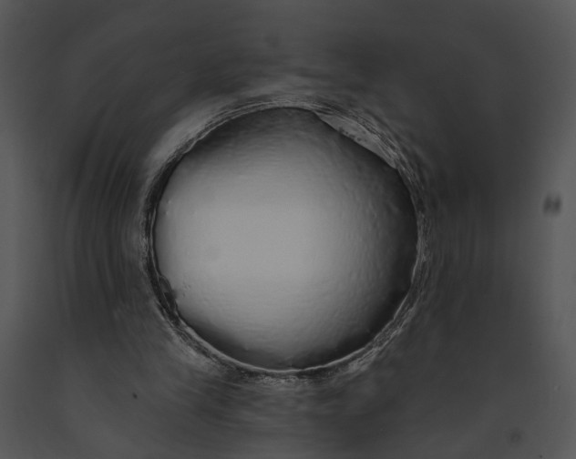 X0000091190245200708301243