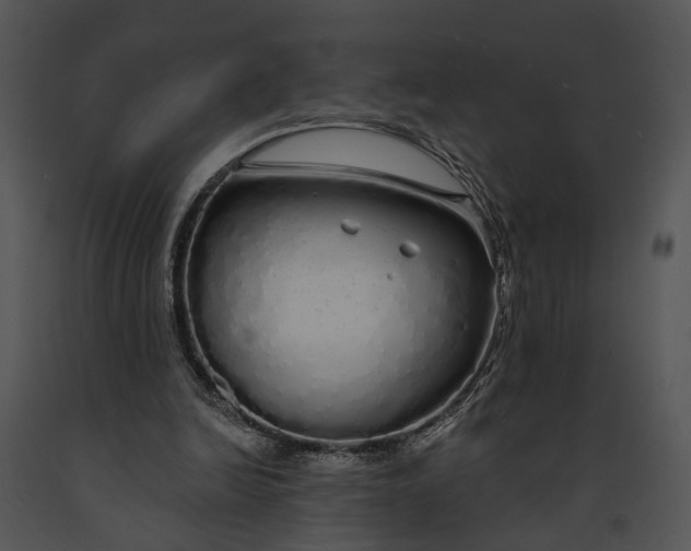 X0000091190246200708301243