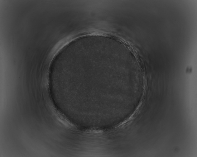 X0000091190247200708301243