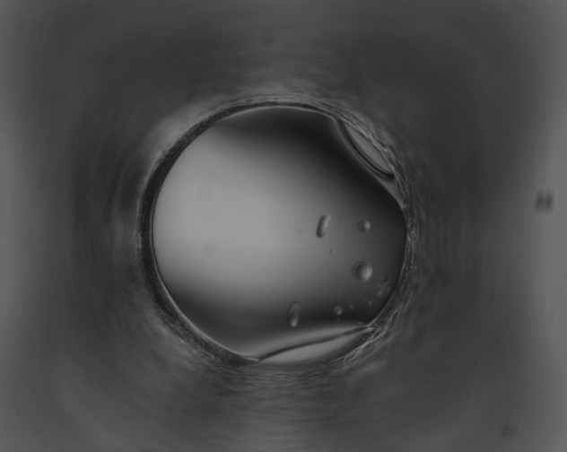 X0000091190248200708301243