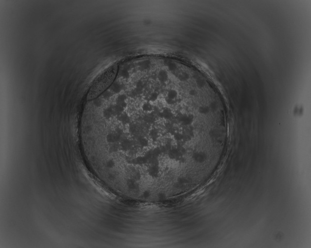 X0000091190249200708301243