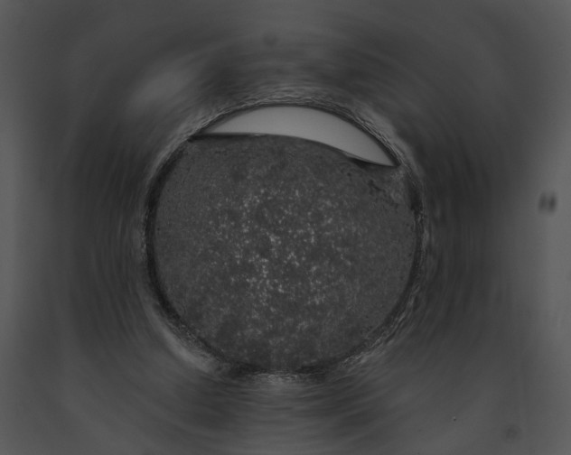 X0000091190250200708301243