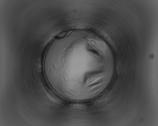 X0000091190251200708301243