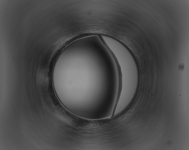 X0000091190252200708301243