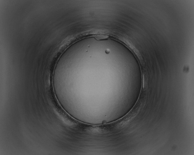 X0000091190253200708301243