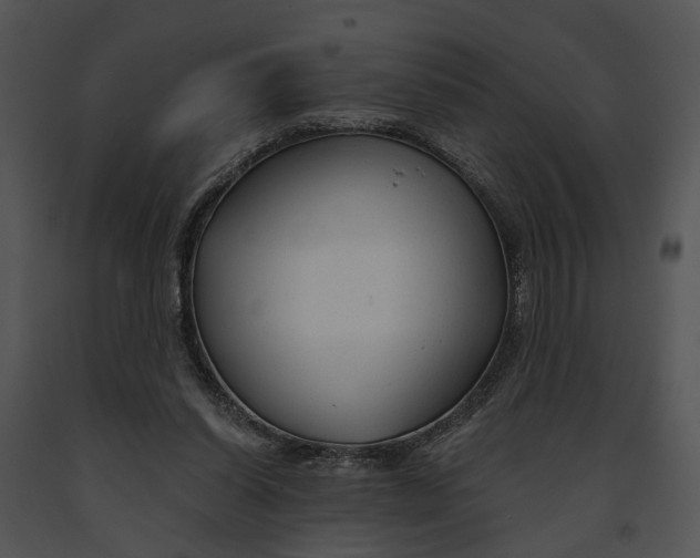 X0000091190254200708301243