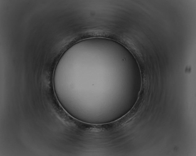 X0000091190255200708301243