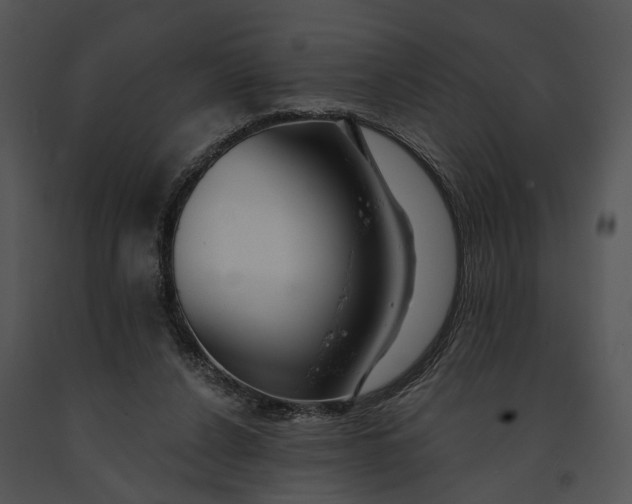 X0000091190256200708301243