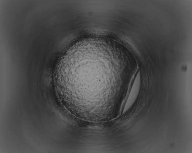 X0000091190259200708301243