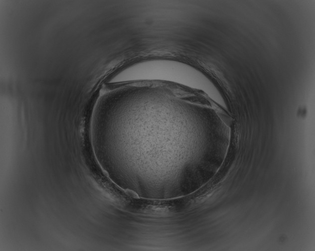 X0000091190260200708301243