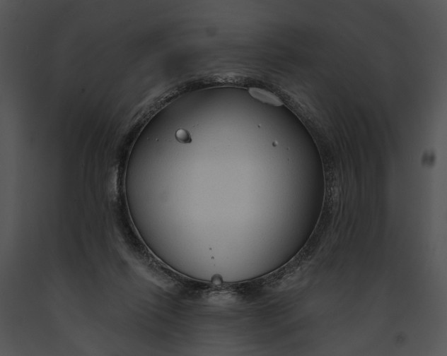 X0000091190262200708301243