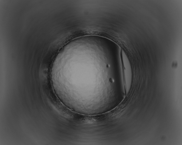 X0000091190263200708301243