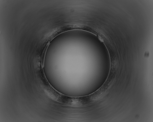 X0000091190264200708301243