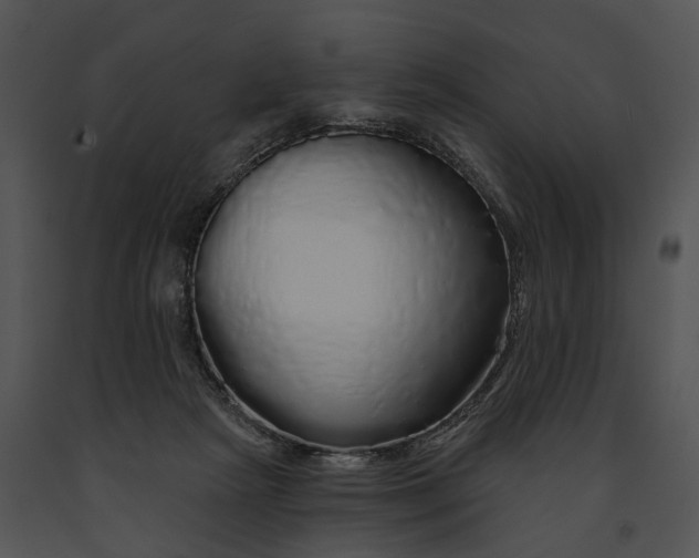 X0000091190265200708301243