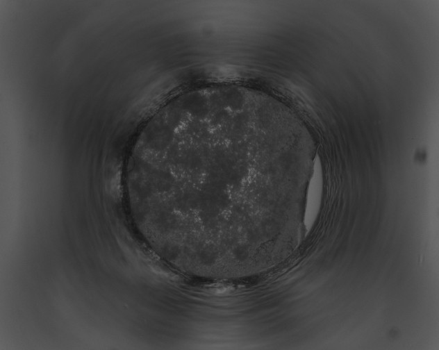 X0000091190267200708301243