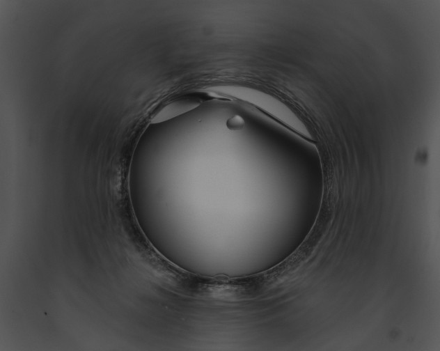 X0000091190268200708301243