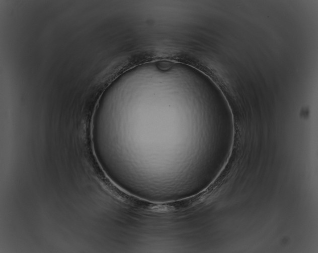 X0000091190269200708301243