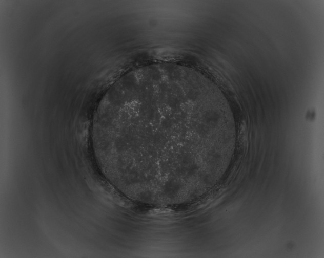 X0000091190271200708301243