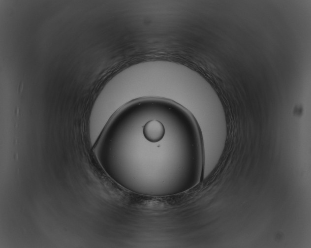 X0000091190272200708301243