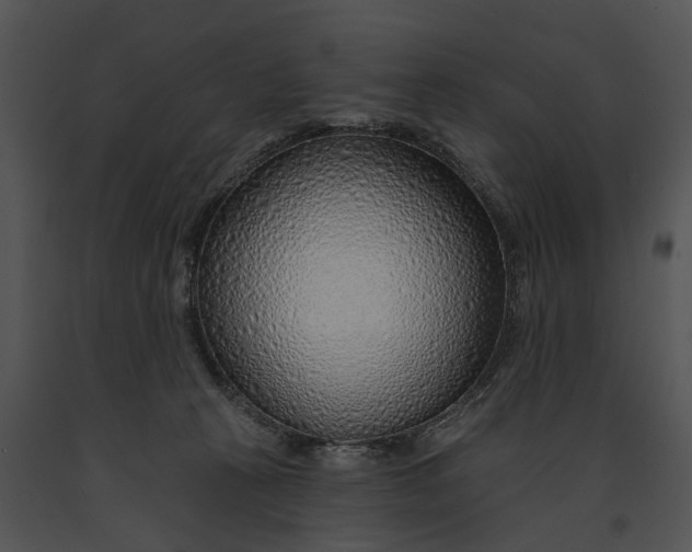 X0000091190273200708301243