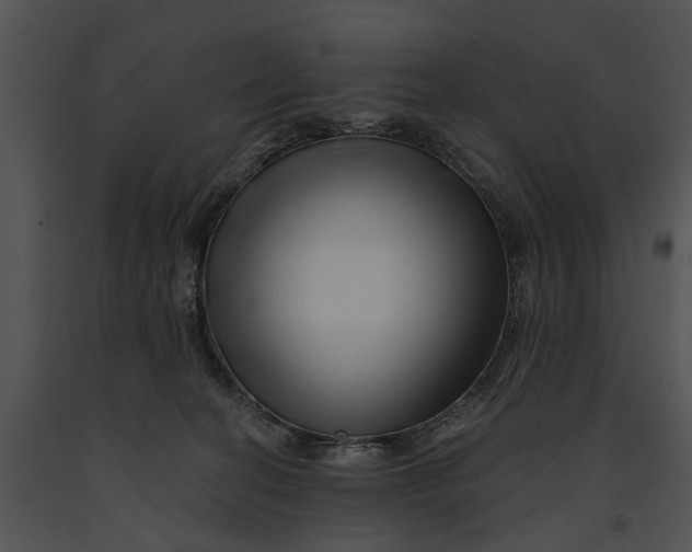 X0000091190274200708301243