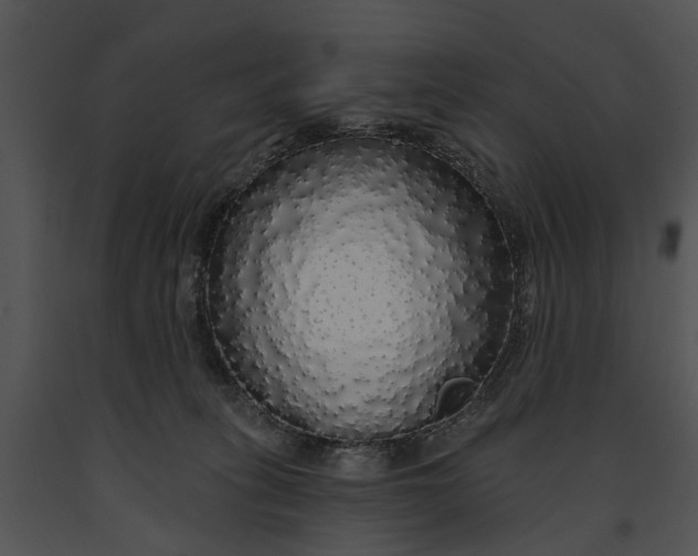 X0000091190275200708301243