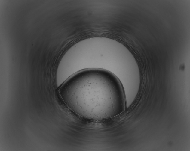 X0000091190276200708301243