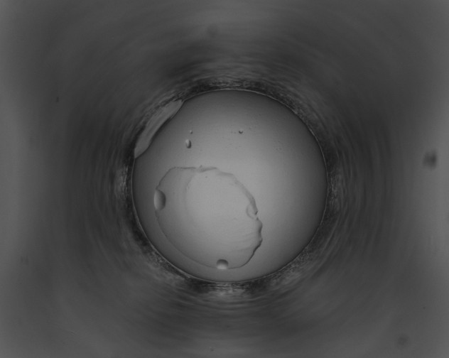 X0000091190278200708301243