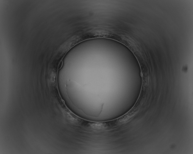 X0000091190281200708301243