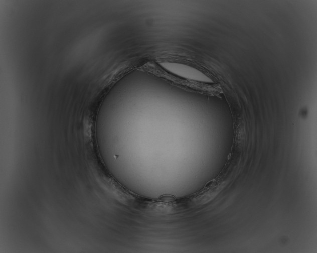 X0000091190282200708301243