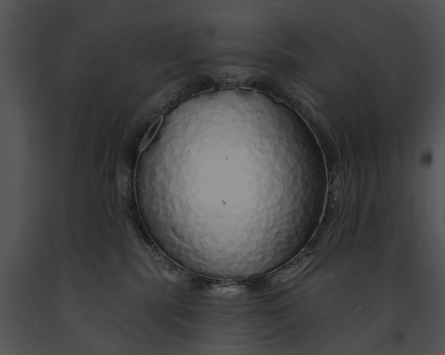 X0000091190283200708301243