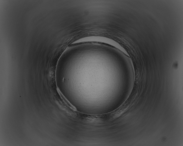 X0000091190284200708301243