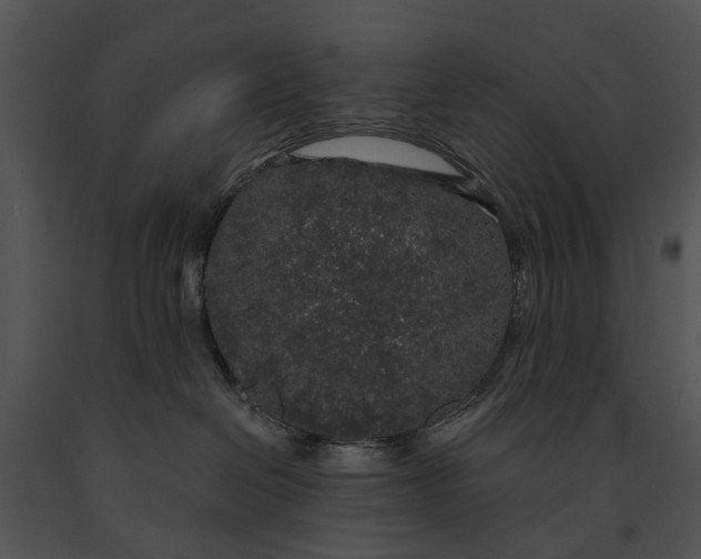 X0000091190286200708301243