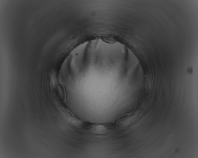 X0000091190287200708301243