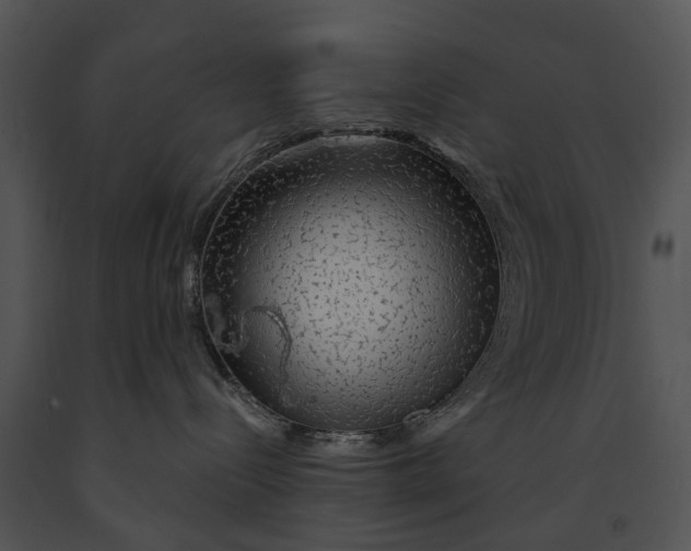 X0000091190288200708301243