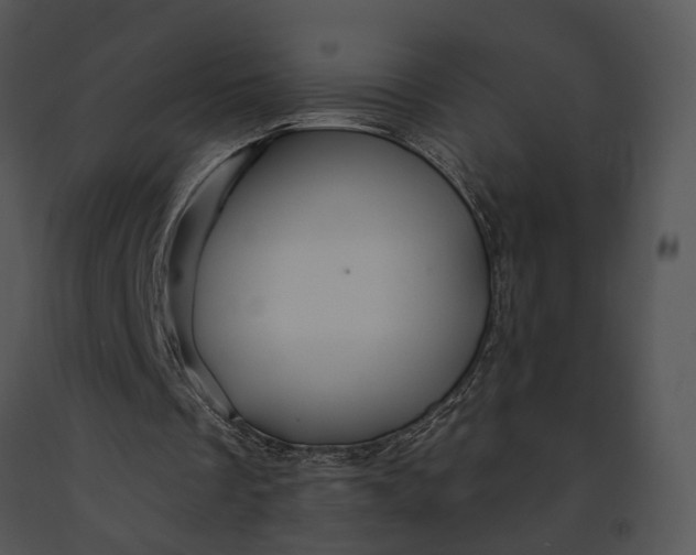 X0000091190289200708301243