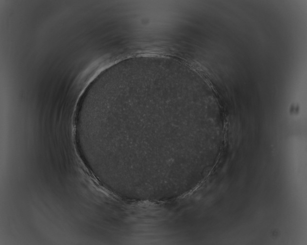 X0000091190290200708301243