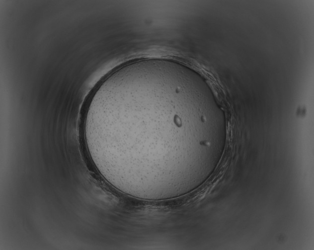 X0000091190292200708301243