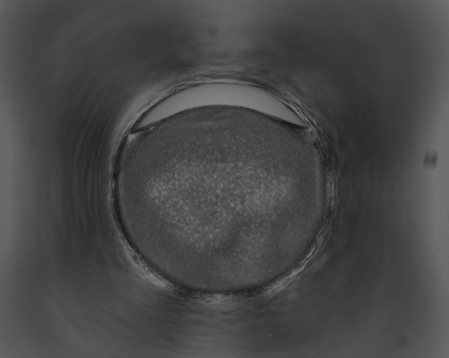 X0000091190293200708301243