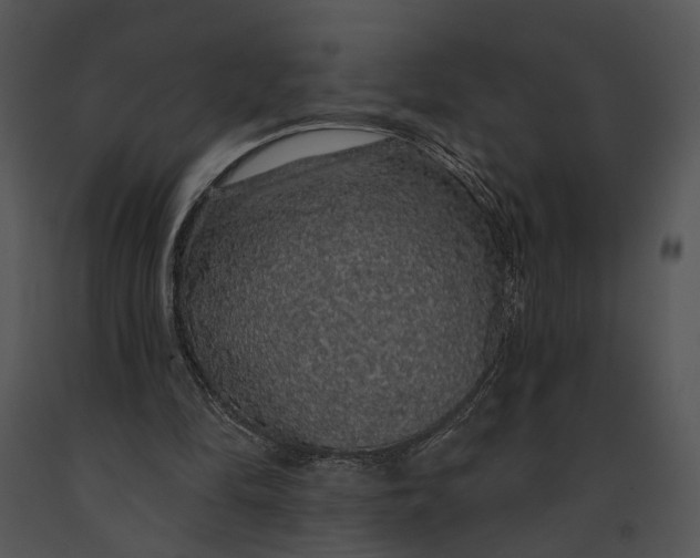 X0000091190294200708301243