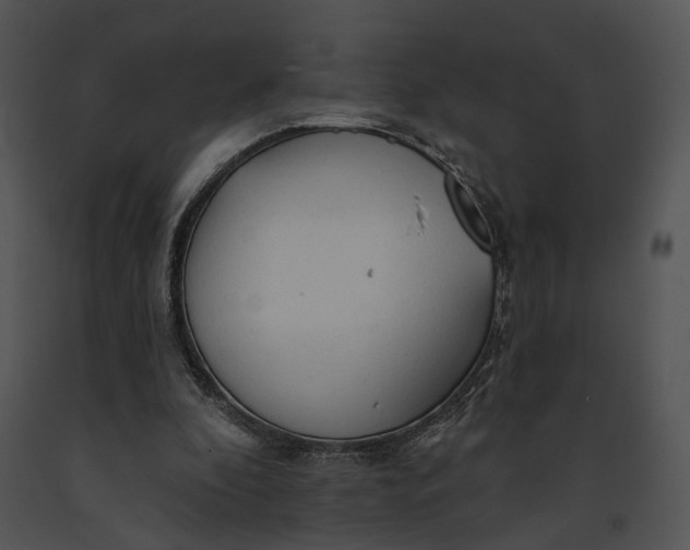 X0000091190296200708301243