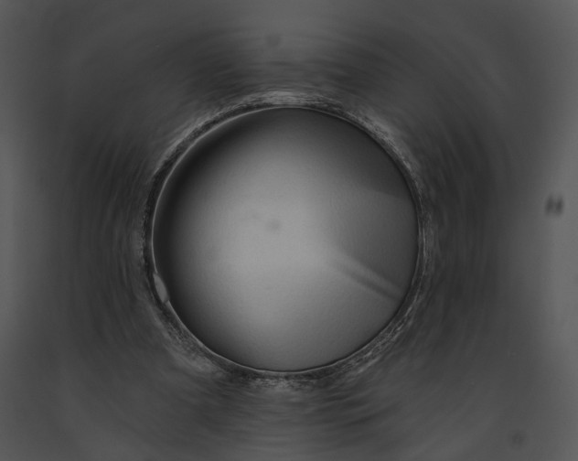 X0000091190297200708301243