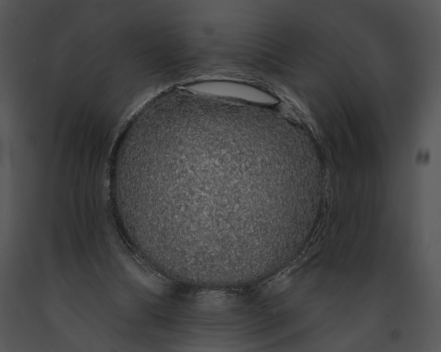 X0000091190298200708301243