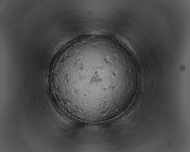 X0000091190299200708301243