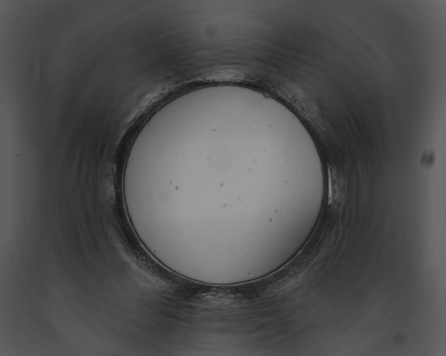 X0000091190300200708301243