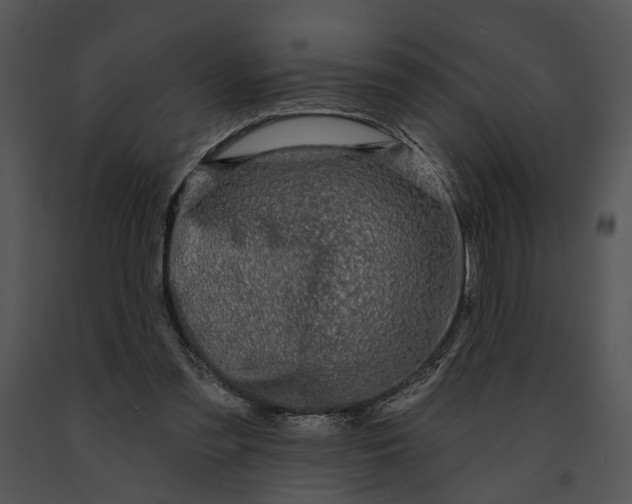 X0000091190301200708301243