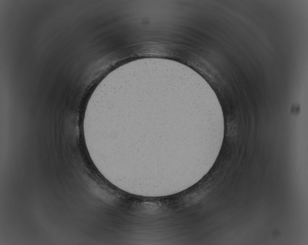 X0000091190302200708301243