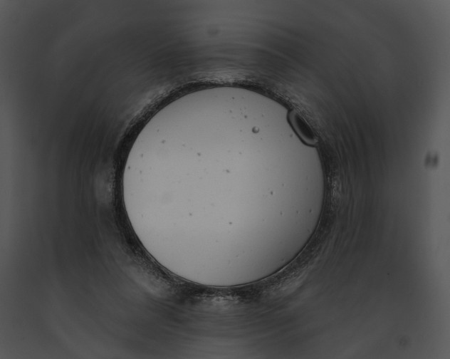 X0000091190304200708301243