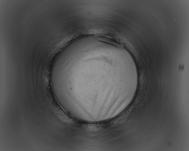 X0000091190305200708301243